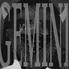 GEMINI  - 26_02_2025 15.07