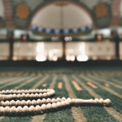وَلَا تَحْسَبَنَّ اللَّهَ غَافِلًا عَمَّا يَعْمَلُ الظَّالِمُونَ ۚ  | سورة ابراهيم #عمر_شلبي