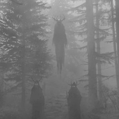 silence from the trees