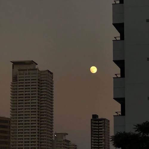 siren- sumni but you're blasting it on a LA rooftop and dancing without a care in the world