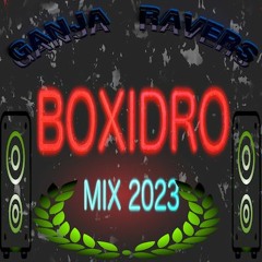 Ganja Ravers - Boxidro