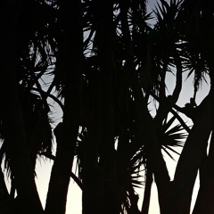 3ananamix 003 | Tech House Set