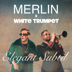 Elegant Subtil