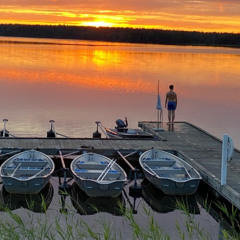Sunset Vibes