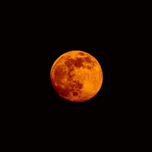 Blood Moon