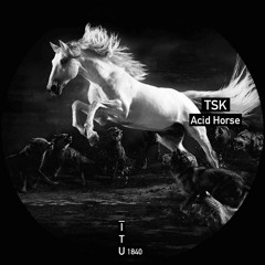 TSK - Acid Horse [ITU1840]