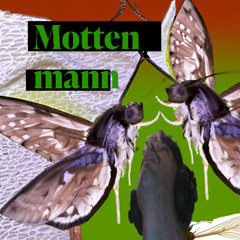 Mottenmann Freestyle (leak)