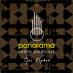PANORAMA  ARTIST MIX 012025