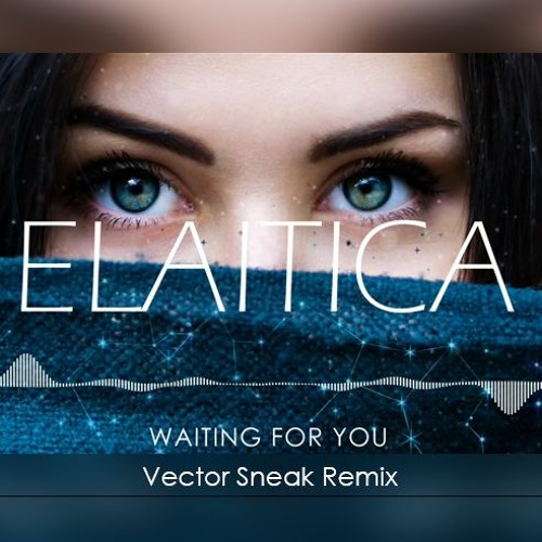 Waiting For You (Vector Sneak Deep House Remix)
