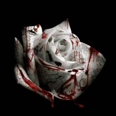 d4vd - Romantic Homicide Cover