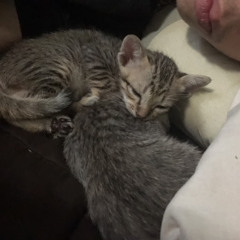 กูเจ็บว่ะ + zeferly