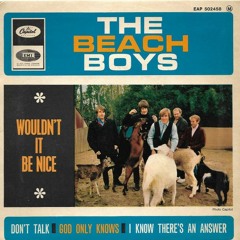 Wouldn't It Be Nice Beach Boys Cover