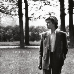 Stream David Sylvian music | Listen to songs, albums, playlists