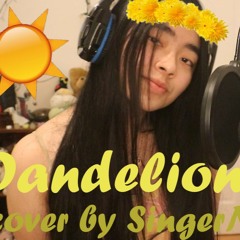 Dandelions (cover)