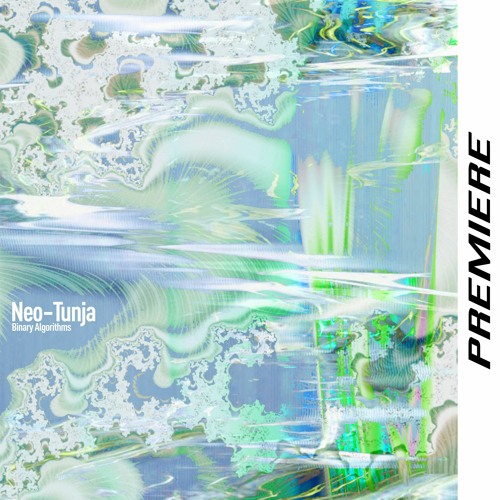 𝙋𝙧𝙚𝙢𝙞𝙚𝙧𝙚 : Binary Algorithms - Repercusiones (Cyphon Remix) [Furatena]