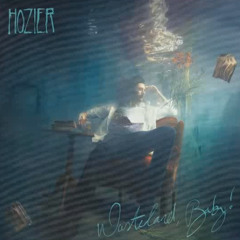 Hozier - The Love Of (Live Performance Version)