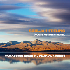 Souljah Feeling (House of Shem Remix) [feat. Chad Chambers]