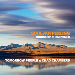 Souljah Feeling (House of Shem Remix) [feat. Chad Chambers]