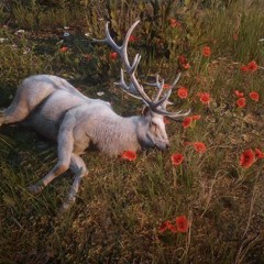 martyr (okmax, chelsea)