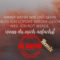lea - immer wenn wir uns sehen (Dr.Sheppat Remix)