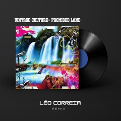 Vintage Culture - Promised Land (Léo Correia Remix)