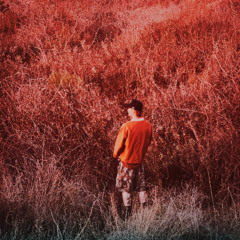 Vices (Re:mix)