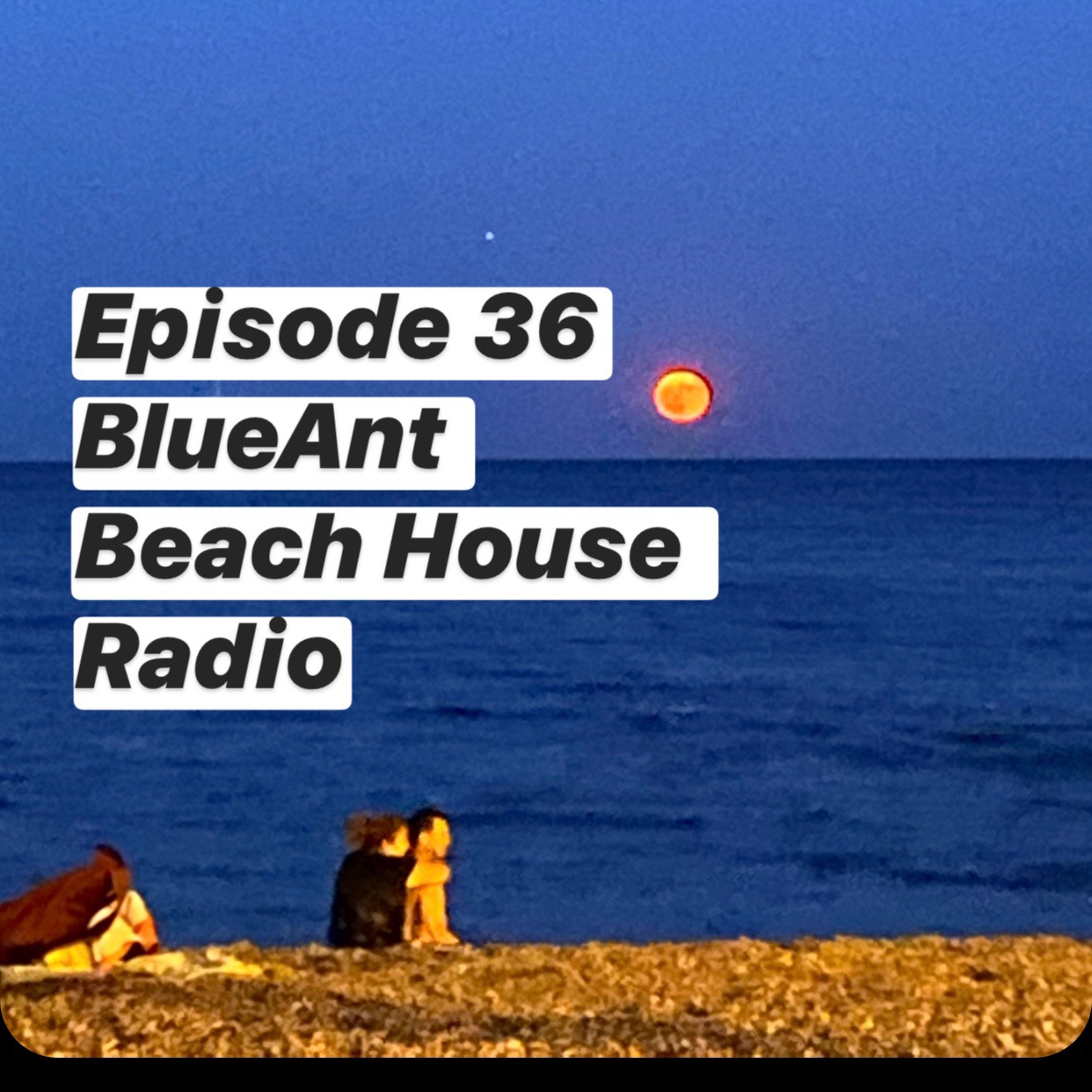 BlueAnt Beach House Radio