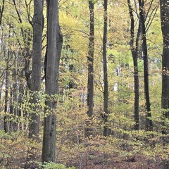 25-#040-Detroit-Deep2Techno