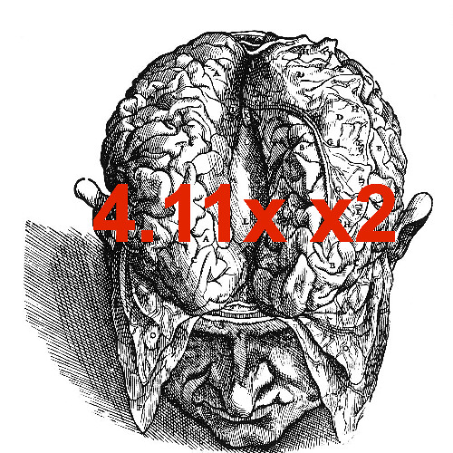 4.11x x2