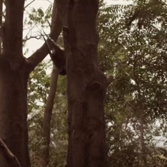 LAMBERT - AWAKE / DK EDIT