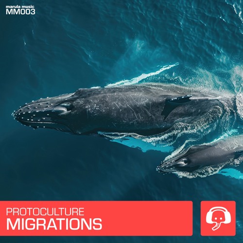 Migrations (Original Mix)