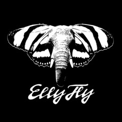 INTRODUCING ELLY FLY