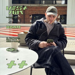 Vestnik Podcast 22 - Hooji