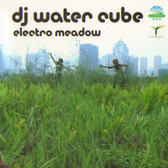 electro meadow