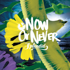 Now or Never (FilosofischeStilte Remix)