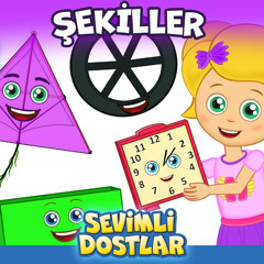 Şekiller