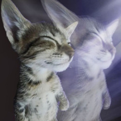 mix suave para curtir (muito smooth e ritmada).vol.1