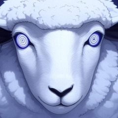 WOOLEN PULSE