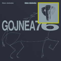 PREMIERE | Gojnea76 - Punisher Braila [FUEL]