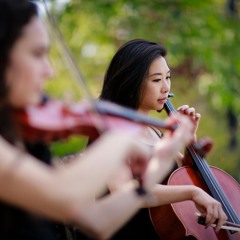 Blackbird (The Beatles) - String Duo