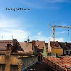 Finding Back Home