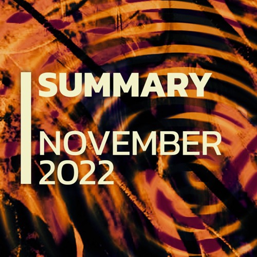 Summary | November 2022