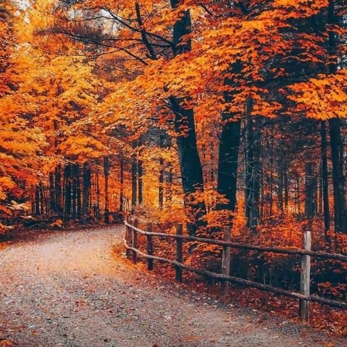 ~ ربّاه إنّي قد وهبتُ حياتي | الحويني