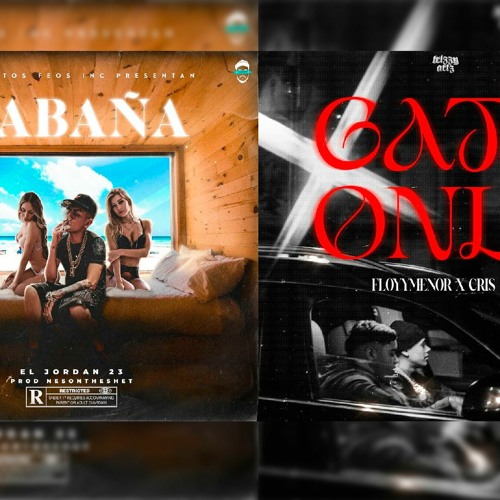 Stream CABAÑA X GATA ONLY (ARTEX MASHUP) by ARTEX | Listen online for