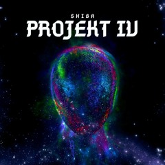 Shiba - Projekt IV (Original Mix) FREE DL
