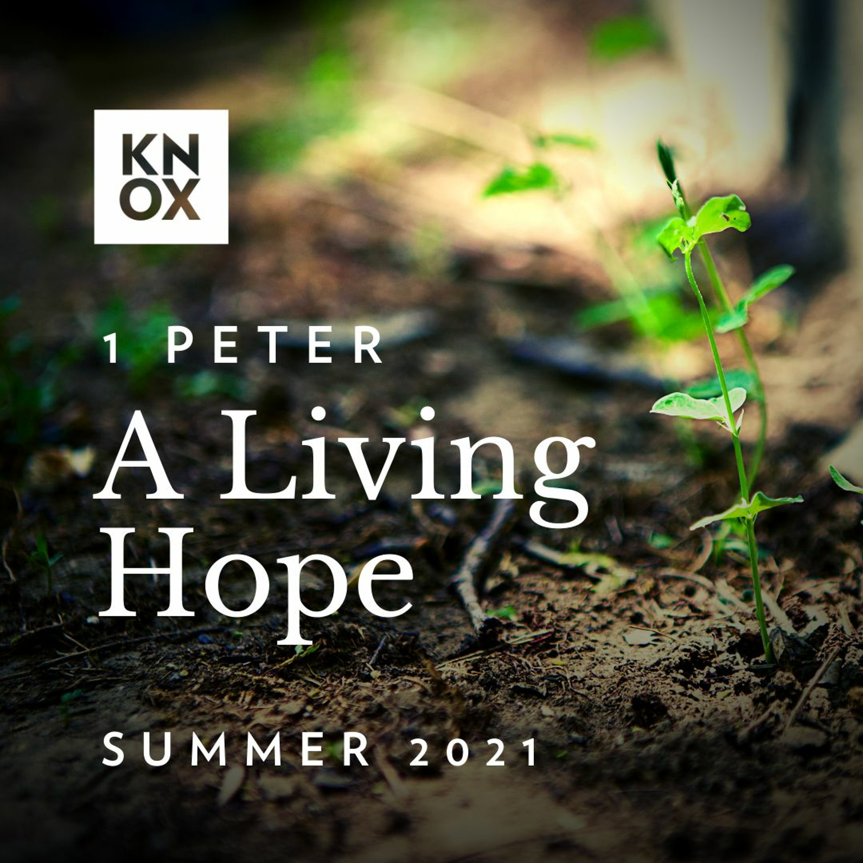 August 1, 2021 | 1 Peter 4:7-11 | A Living Hope