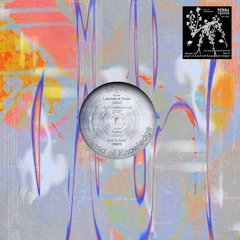 Shjva / Pyramid of Knowledge - I Expected That [TERRAM010]