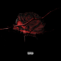 Dreams & Nightmares Ft. Dia Beatz, Storm &  Saya