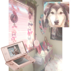 nintendo dsi azerbaijan