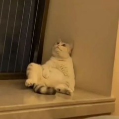 k h o n g  c o`n